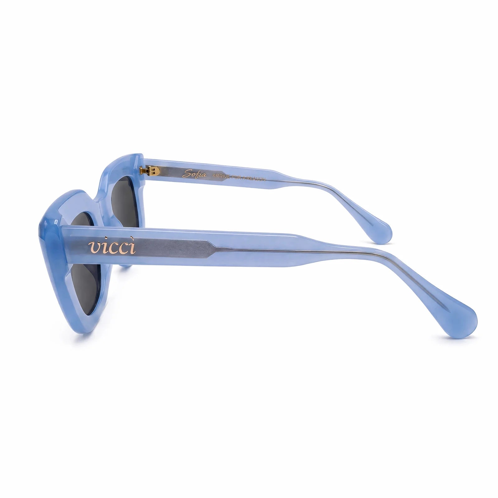 Sofia Sunglasses – Bold, Oversized Style | Vicci Eyewear