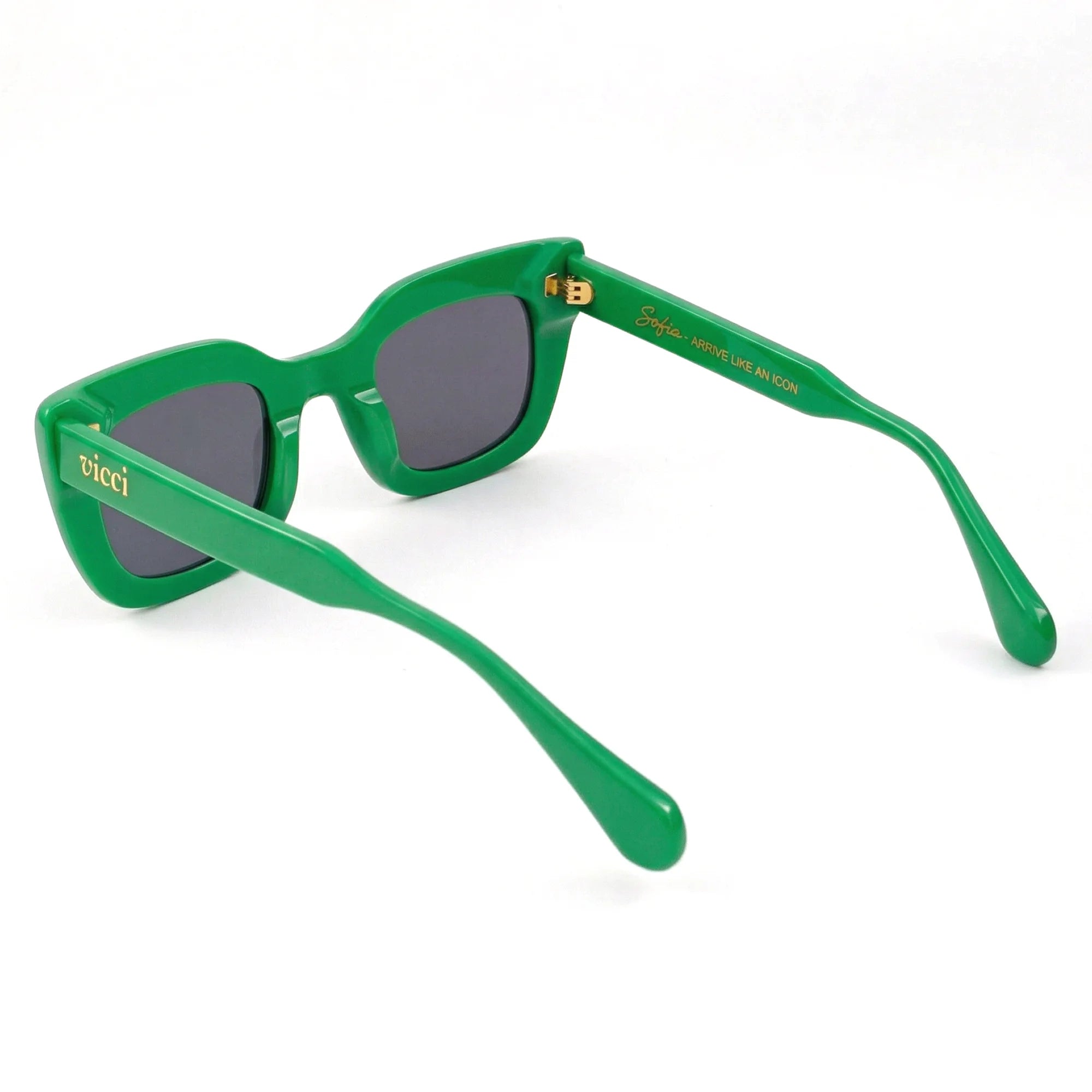 Sofia Sunglasses – Bold, Oversized Style | Vicci Eyewear
