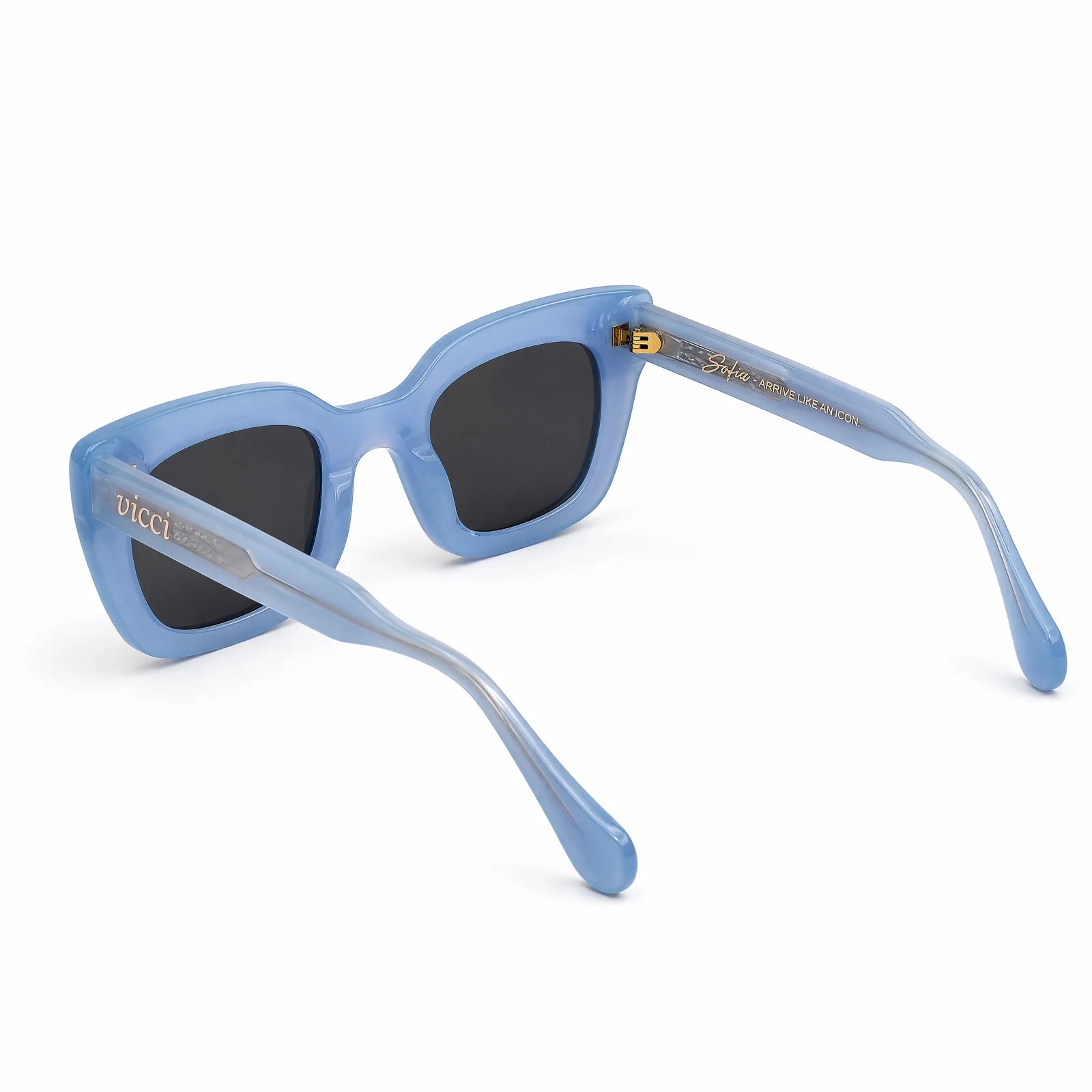 Sofia Sunglasses – Bold, Oversized Style | Vicci Eyewear